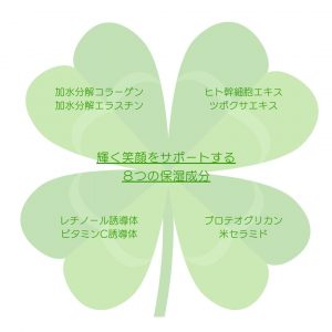 コラーゲン、エラスチン、ヒト幹細胞エキス、ツボクサエキス、プロテオグリカン、米セラミド、レチノール誘導体、ビタミンC誘導体